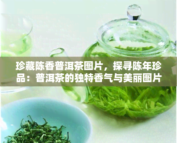 珍藏陈香普洱茶图片，探寻陈年珍品：普洱茶的独特香气与美丽图片欣