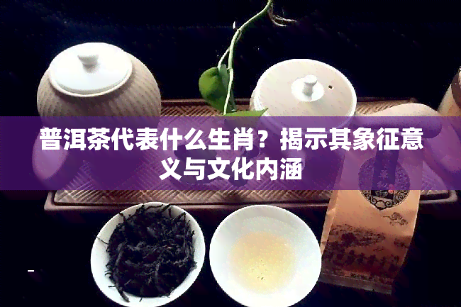 普洱茶代表什么生肖？揭示其象征意义与文化内涵