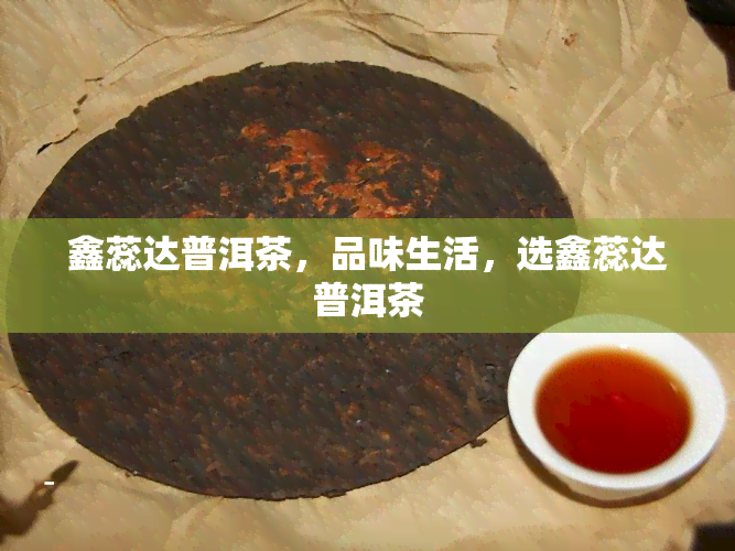 鑫蕊达普洱茶，品味生活，选鑫蕊达普洱茶