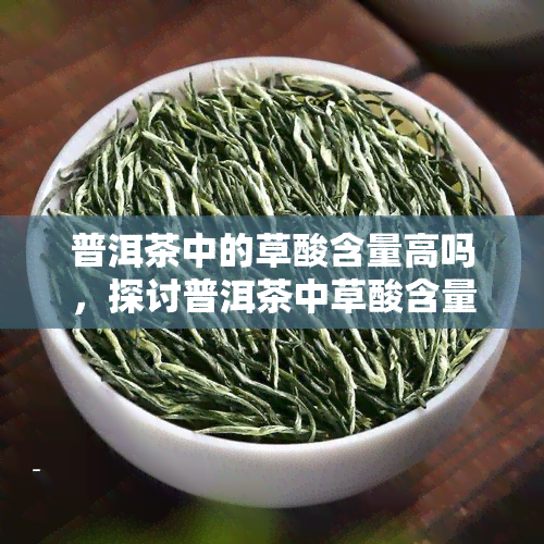 普洱茶中的草酸含量高吗，探讨普洱茶中草酸含量是否偏高？