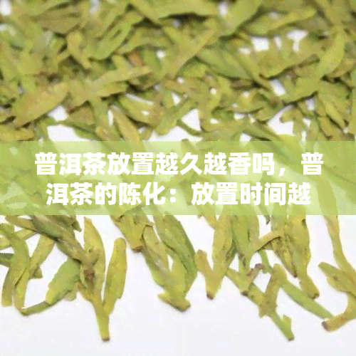 普洱茶放置越久越香吗，普洱茶的陈化：放置时间越久真的越香吗？