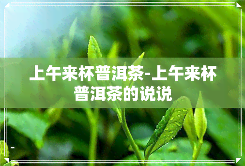 上午来杯普洱茶-上午来杯普洱茶的说说