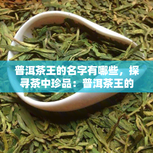 普洱茶王的名字有哪些，探寻茶中珍品：普洱茶王的神秘名字大揭秘