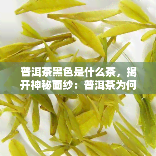 普洱茶黑色是什么茶，揭开神秘面纱：普洱茶为何呈现黑色？