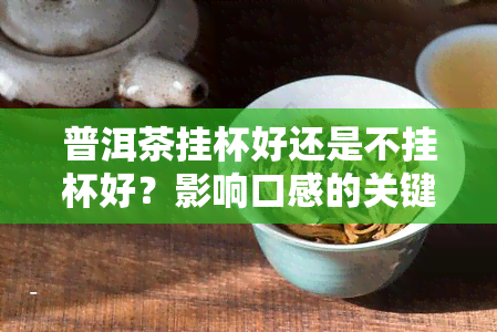 普洱茶挂杯好还是不挂杯好？影响口感的关键因素解析