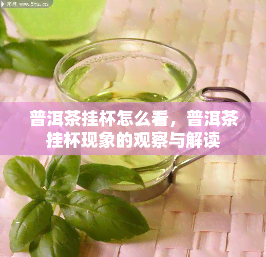 普洱茶挂杯怎么看，普洱茶挂杯现象的观察与解读