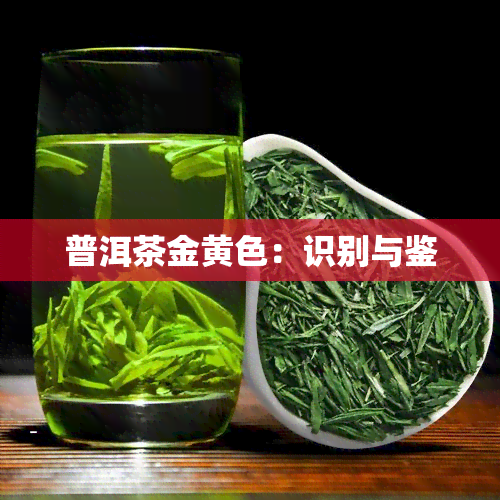 普洱茶金黄色：识别与鉴