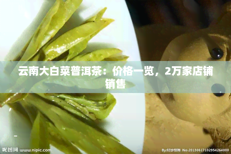 云南大白菜普洱茶：价格一览，2万家店铺销售