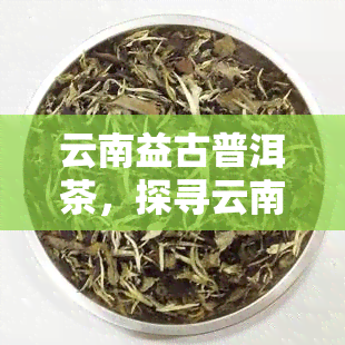 云南益古普洱茶，探寻云南益古普洱茶的韵味与故事