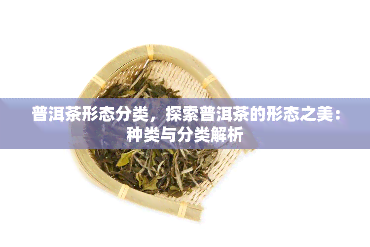 普洱茶形态分类，探索普洱茶的形态之美：种类与分类解析