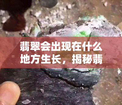 翡翠会出现在什么地方生长，揭秘翡翠的诞生地：翡翠会在哪些地方生长？