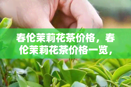 春伦茉莉花茶价格，春伦茉莉花茶价格一览，让您轻松了解市场行情！