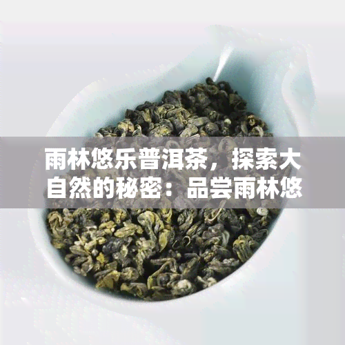 雨林悠乐普洱茶，探索大自然的秘密：品尝雨林悠乐普洱茶的美妙之旅