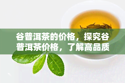 谷普洱茶的价格，探究谷普洱茶价格，了解高品质茶叶的价值