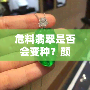 危料翡翠是否会变种？颜色也会改变吗？