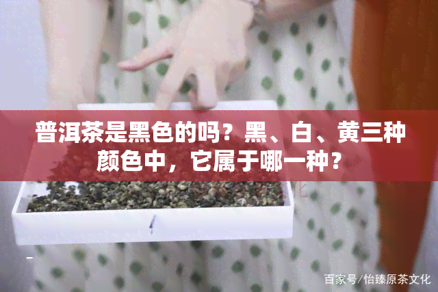 普洱茶是黑色的吗？黑、白、黄三种颜色中，它属于哪一种？