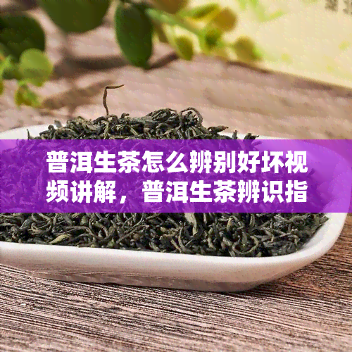 普洱生茶怎么辨别好坏视频讲解，普洱生茶辨识指南：视频详解优质与劣质的区别