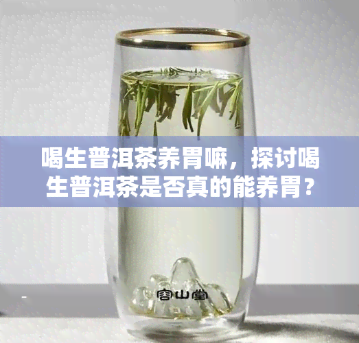 喝生普洱茶养胃嘛，探讨喝生普洱茶是否真的能养胃？