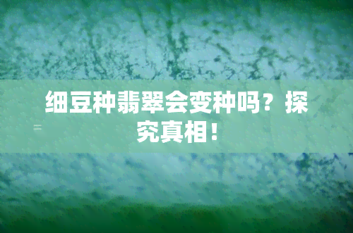 细豆种翡翠会变种吗？探究真相！