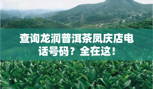 查询龙润普洱茶凤庆店电话号码？全在这！