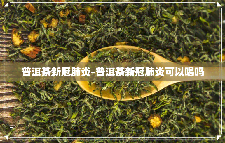 普洱茶-普洱茶可以喝吗