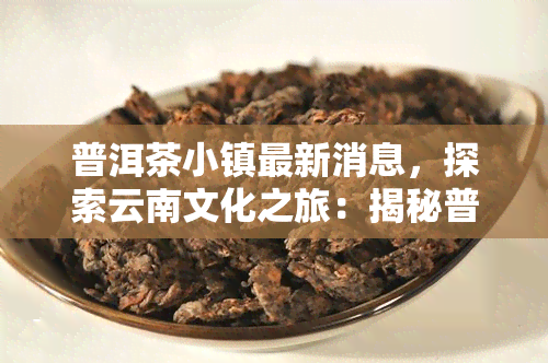 普洱茶小镇最新消息，探索云南文化之旅：揭秘普洱茶小镇的最新动态