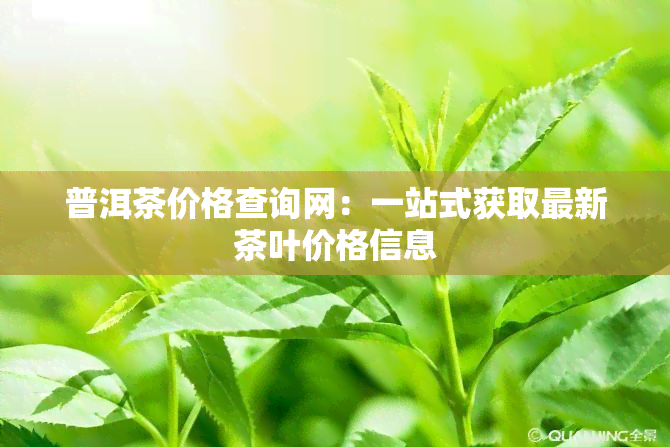 普洱茶价格查询网：一站式获取最新茶叶价格信息