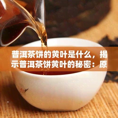 普洱茶饼的黄叶是什么，揭示普洱茶饼黄叶的秘密：原因和影响