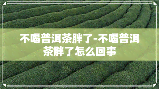 不喝普洱茶胖了-不喝普洱茶胖了怎么回事