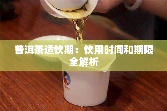 普洱茶适饮期：饮用时间和期限全解析