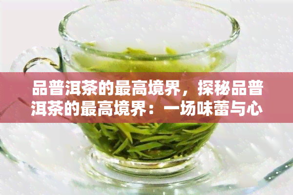 品普洱茶的更高境界，探秘品普洱茶的更高境界：一场味蕾与心灵的宴