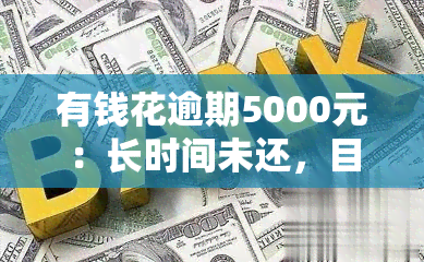 有钱花逾期5000元：长时间未还，目前已逾期4000元