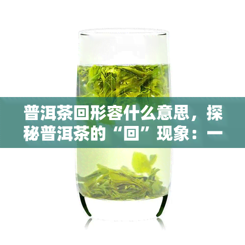 普洱茶回形容什么意思，探秘普洱茶的“回”现象：一种独特的口感体验