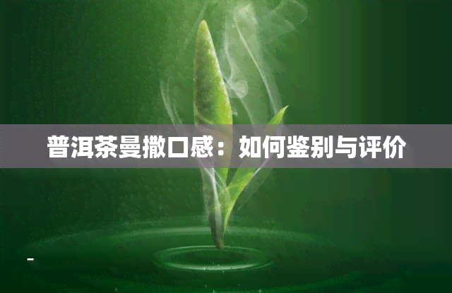 普洱茶曼撒口感：如何鉴别与评价