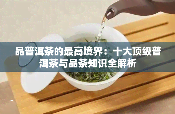 品普洱茶的更高境界：十大顶级普洱茶与品茶知识全解析