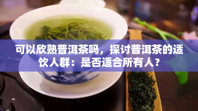 可以欣熟普洱茶吗，探讨普洱茶的适饮人群：是否适合所有人？