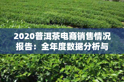 2020普洱茶电商销售情况报告：全年度数据分析与趋势解读