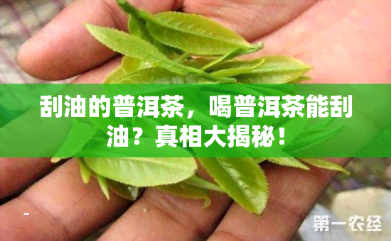 刮油的普洱茶，喝普洱茶能刮油？真相大揭秘！