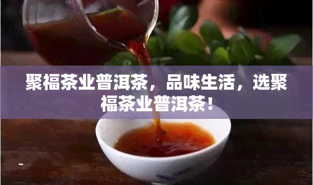 聚福茶业普洱茶，品味生活，选聚福茶业普洱茶！