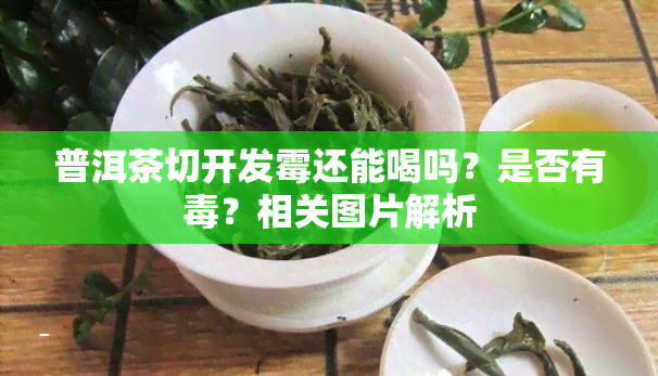 普洱茶切开发霉还能喝吗？是否有？相关图片解析