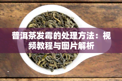 普洱茶发霉的处理方法：视频教程与图片解析