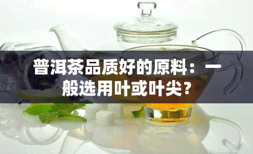 普洱茶品质好的原料：一般选用叶或叶尖？