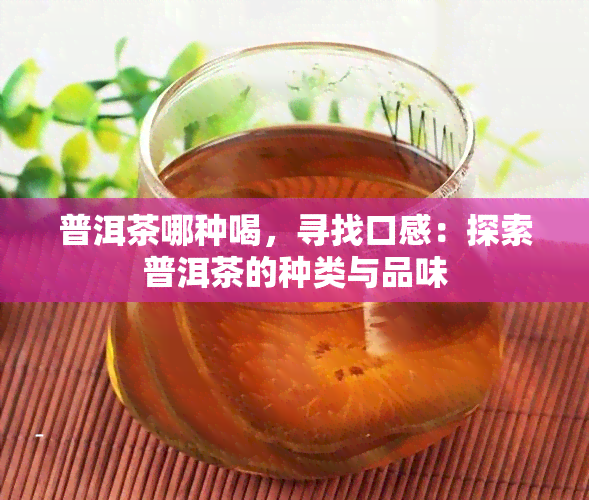 普洱茶哪种喝，寻找口感：探索普洱茶的种类与品味