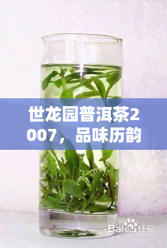 世龙园普洱茶2007，品味历韵味：世龙园普洱茶2007的口感与文化价值