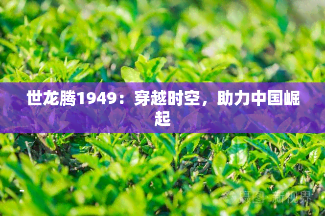 世龙腾1949：穿越时空，助力中国崛起