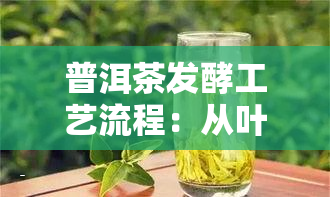 普洱茶发酵工艺流程：从叶到成品的过程及特点介绍