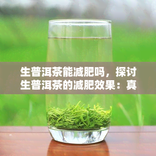 生普洱茶能减肥吗，探讨生普洱茶的减肥效果：真相大揭秘