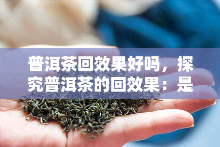 普洱茶回效果好吗，探究普洱茶的回效果：是否名副其实？