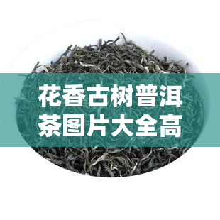 花香古树普洱茶图片大全高清