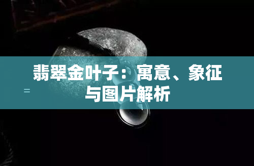 翡翠金叶子：寓意、象征与图片解析